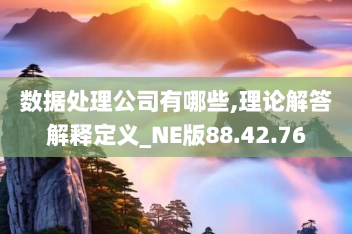 数据处理公司有哪些,理论解答解释定义_NE版88.42.76