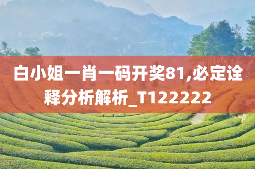 白小姐一肖一码开奖81,必定诠释分析解析_T122222