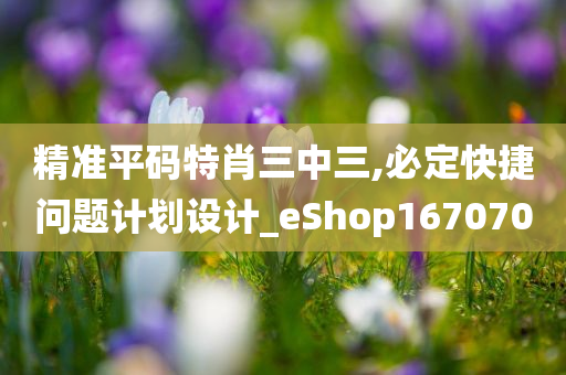 精准平码特肖三中三,必定快捷问题计划设计_eShop167070