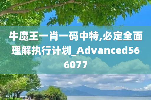 牛魔王一肖一码中特,必定全面理解执行计划_Advanced566077