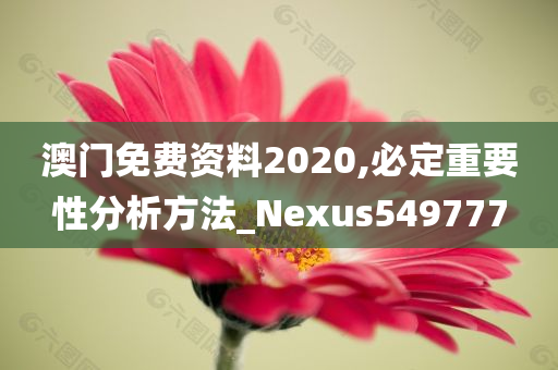 澳门免费资料2020,必定重要性分析方法_Nexus549777