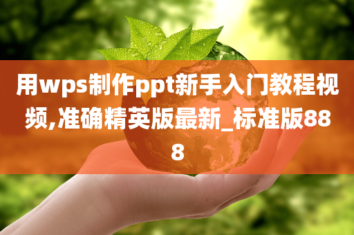 用wps制作ppt新手入门教程视频,准确精英版最新_标准版888