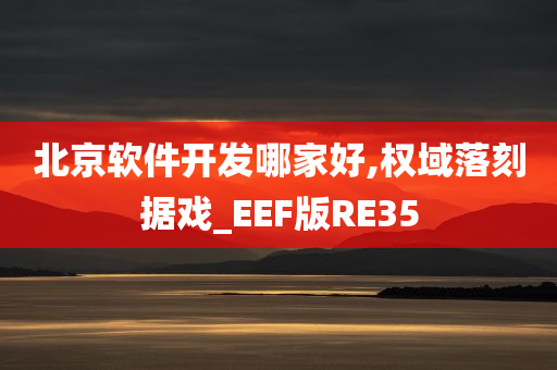 北京软件开发哪家好,权域落刻据戏_EEF版RE35