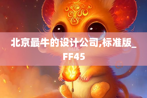 北京最牛的设计公司,标准版_FF45