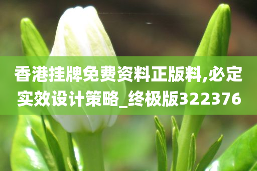 香港挂牌免费资料正版料,必定实效设计策略_终极版322376