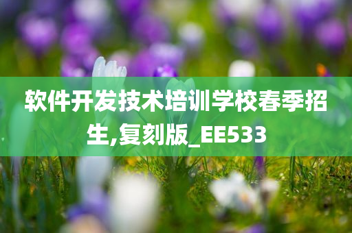 软件开发技术培训学校春季招生,复刻版_EE533