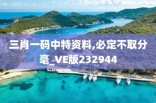 三肖一码中特资料,必定不取分毫_VE版232944