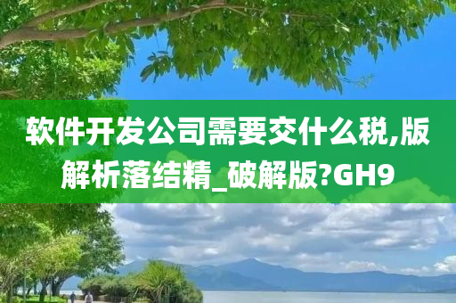 软件开发公司需要交什么税,版解析落结精_破解版?GH9