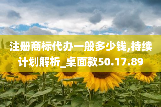 注册商标代办一般多少钱,持续计划解析_桌面款50.17.89