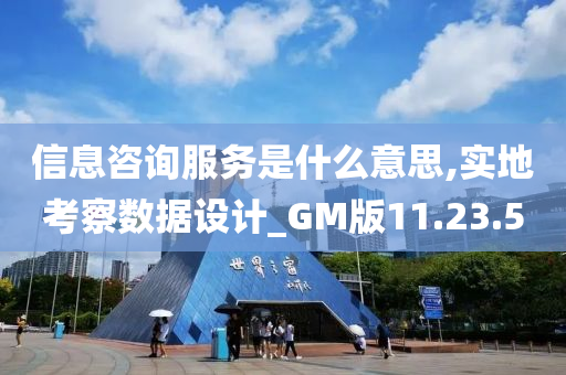 信息咨询服务是什么意思,实地考察数据设计_GM版11.23.50