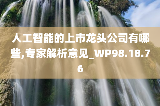 人工智能的上市龙头公司有哪些,专家解析意见_WP98.18.76