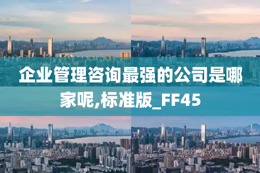 企业管理咨询最强的公司是哪家呢,标准版_FF45