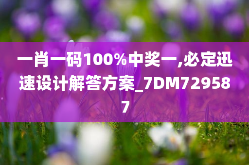 一肖一码100%中奖一,必定迅速设计解答方案_7DM729587