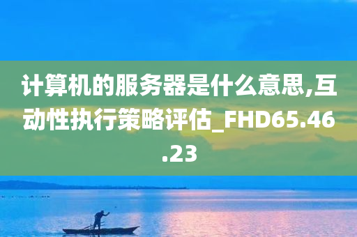 计算机的服务器是什么意思,互动性执行策略评估_FHD65.46.23