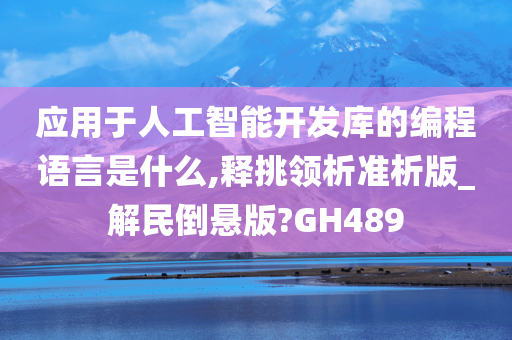 应用于人工智能开发库的编程语言是什么,释挑领析准析版_解民倒悬版?GH489