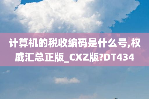 计算机的税收编码是什么号,权威汇总正版_CXZ版?DT434