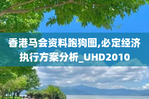 香港马会资料跑狗图,必定经济执行方案分析_UHD2010