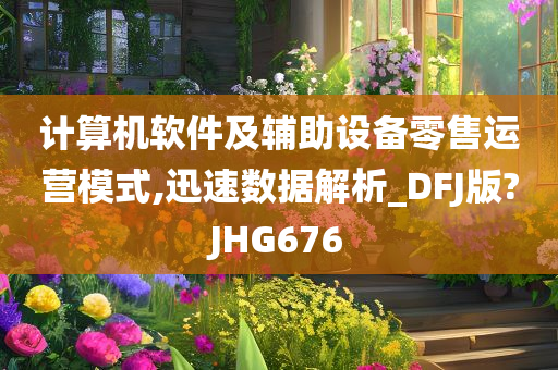 计算机软件及辅助设备零售运营模式,迅速数据解析_DFJ版?JHG676