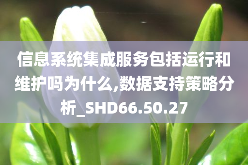 信息系统集成服务包括运行和维护吗为什么,数据支持策略分析_SHD66.50.27