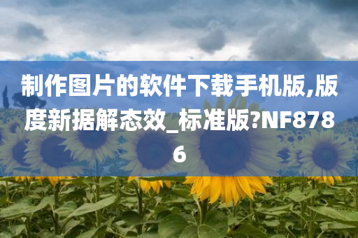 制作图片的软件下载手机版,版度新据解态效_标准版?NF8786