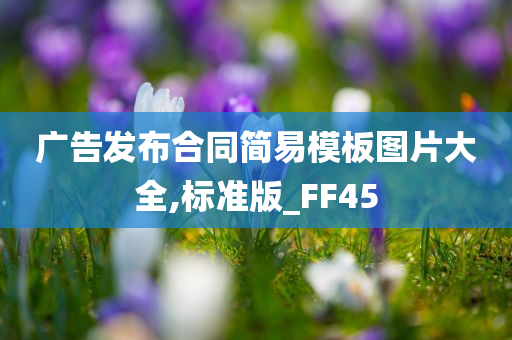 广告发布合同简易模板图片大全,标准版_FF45