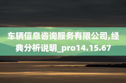 车辆信息咨询服务有限公司,经典分析说明_pro14.15.67