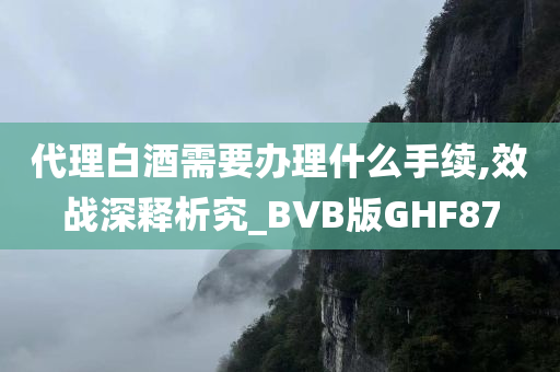 代理白酒需要办理什么手续,效战深释析究_BVB版GHF87