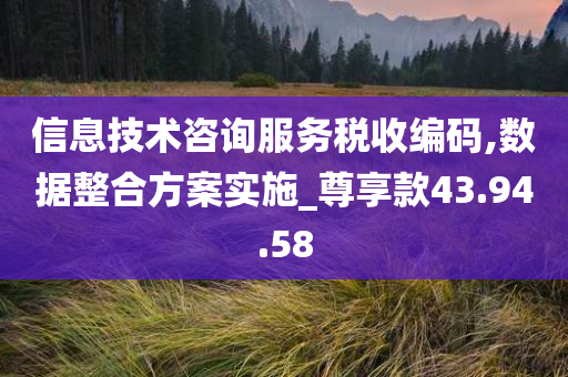 信息技术咨询服务税收编码,数据整合方案实施_尊享款43.94.58