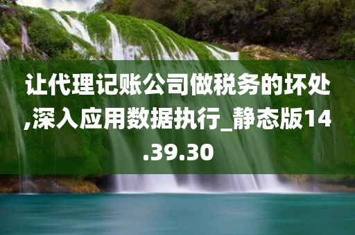 让代理记账公司做税务的坏处,深入应用数据执行_静态版14.39.30