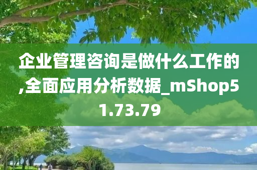 企业管理咨询是做什么工作的,全面应用分析数据_mShop51.73.79