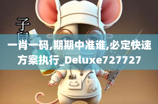 一肖一码,期期中准谁,必定快速方案执行_Deluxe727727