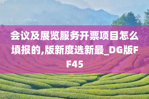 会议及展览服务开票项目怎么填报的,版新度选新最_DG版FF45