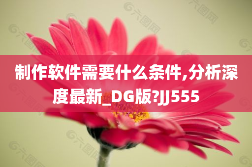 制作软件需要什么条件,分析深度最新_DG版?JJ555