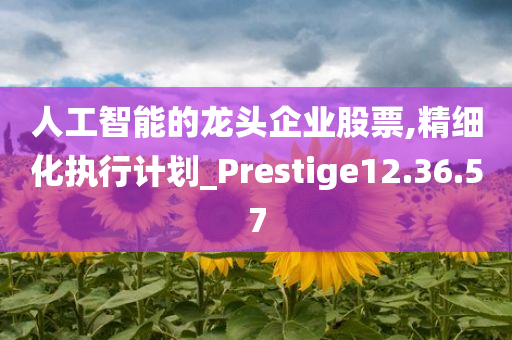 人工智能的龙头企业股票,精细化执行计划_Prestige12.36.57