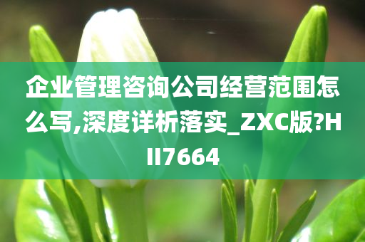 企业管理咨询公司经营范围怎么写,深度详析落实_ZXC版?HII7664