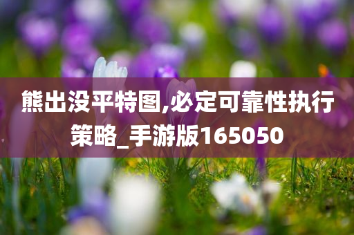 熊出没平特图,必定可靠性执行策略_手游版165050