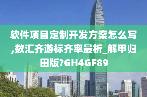 软件项目定制开发方案怎么写,数汇齐游标齐率最析_解甲归田版?GH4GF89