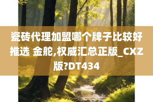 瓷砖代理加盟哪个牌子比较好推选 金舵,权威汇总正版_CXZ版?DT434