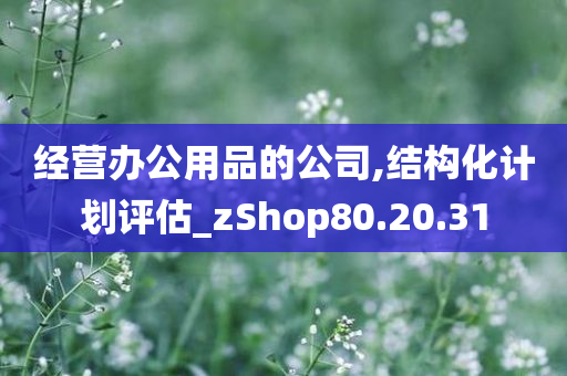 经营办公用品的公司,结构化计划评估_zShop80.20.31