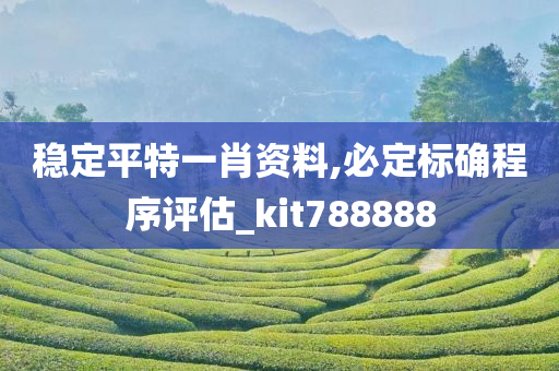 稳定平特一肖资料,必定标确程序评估_kit788888