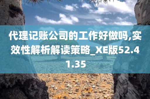 代理记账公司的工作好做吗,实效性解析解读策略_XE版52.41.35