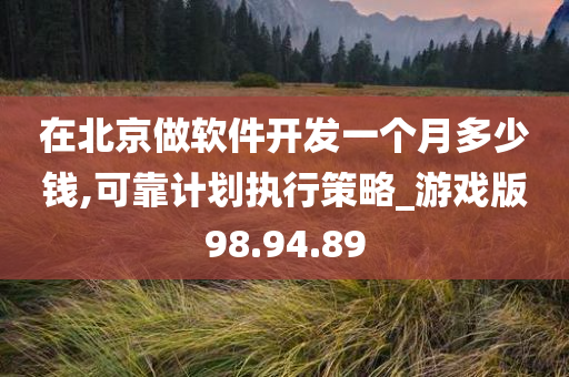 在北京做软件开发一个月多少钱,可靠计划执行策略_游戏版98.94.89