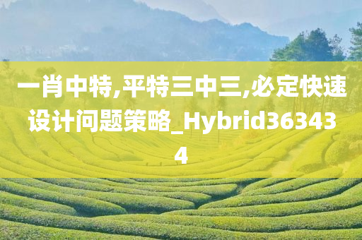 一肖中特,平特三中三,必定快速设计问题策略_Hybrid363434