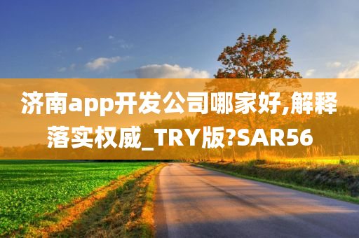 济南app开发公司哪家好,解释落实权威_TRY版?SAR56