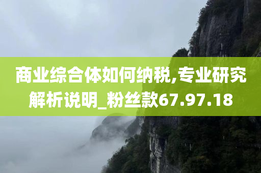 商业综合体如何纳税,专业研究解析说明_粉丝款67.97.18