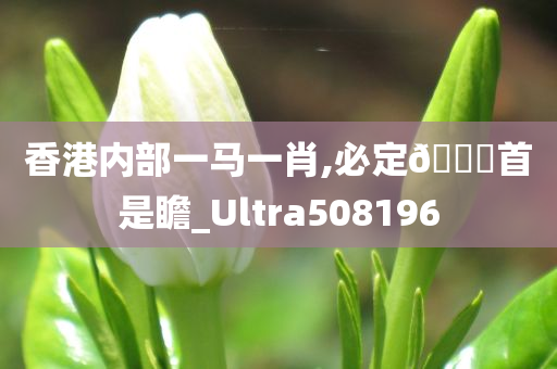 香港内部一马一肖,必定🐎首是瞻_Ultra508196