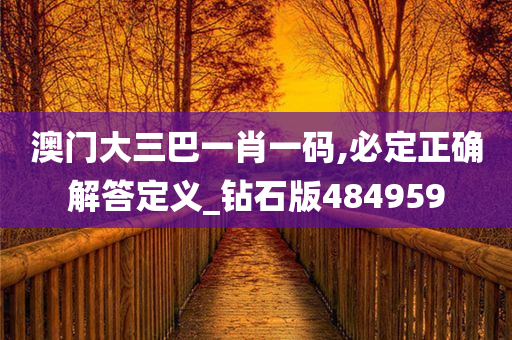 澳门大三巴一肖一码,必定正确解答定义_钻石版484959