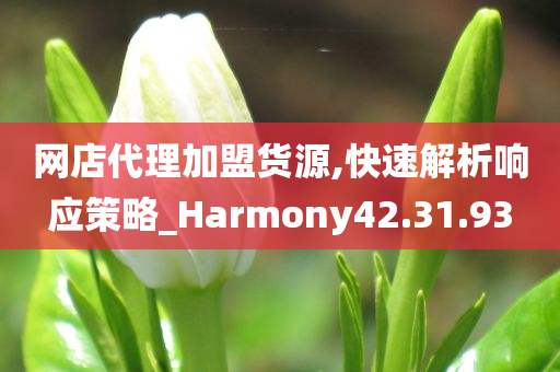 网店代理加盟货源,快速解析响应策略_Harmony42.31.93