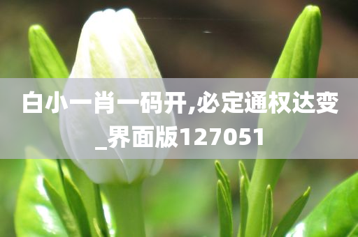 白小一肖一码开,必定通权达变_界面版127051