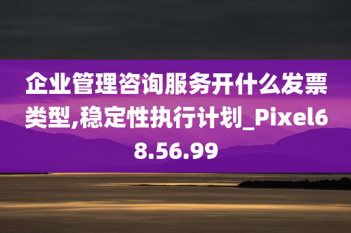 企业管理咨询服务开什么发票类型,稳定性执行计划_Pixel68.56.99